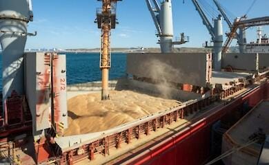 Russland hat die Frist f&uuml;r die Inspektion von Getreidelieferungen erneut verl&auml;ngert