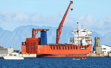 S&uuml;dafrikanische Regierung verd&auml;chtigt, Waffen an Russland zu verkaufen