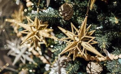 Ukrainische Soldaten singen die legendäre "Shchedrik" an der Frontlinie