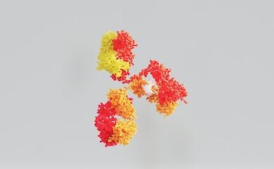 Welcher Ausbruch k&ouml;nnte die n&auml;chste Pandemie sein - WHO weist auf t&ouml;dliche Infektion hin