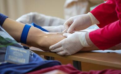 Die Blutbank kann Material für bis zu 30 Jahre aufbewahren