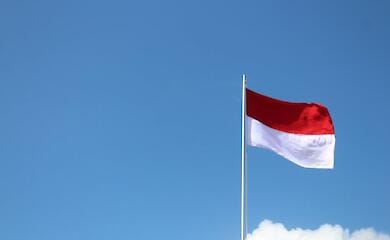 Ein anderes Land hat einen "Friedensplan" für die Ukraine vorgeschlagen und wurde daraufhin angesprochen