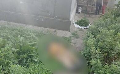 Frau bei morgendlichem Raketenangriff auf Dorf in der Region Kherson getötet