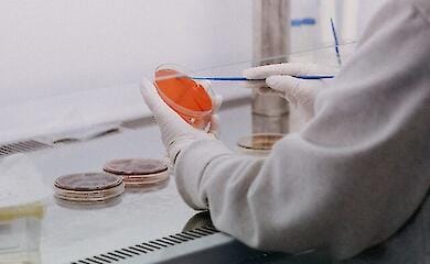 In der polnischen Stadt Rzesz&oacute;w wurde ein Ausbruch einer t&ouml;dlichen Krankheit gemeldet