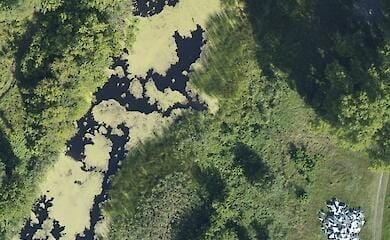 Фото: ЦНС