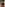 Wie man einen Schal im Herbst 2023 tr&auml;gt und womit man ihn kombiniert: modische Bilder