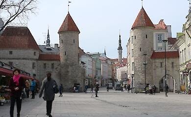 Zahl der Unterst&uuml;tzer der Ukrainer in Estland ist stark zur&uuml;ckgegangen - Massenmedien