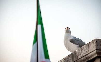 Italien nennt Bedingungen f&uuml;r die Einstellung der Hilfe f&uuml;r die Ukraine 