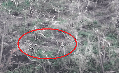 In der Nähe von Bakhmut raubten russische Besatzer ihren toten Mann (Video)