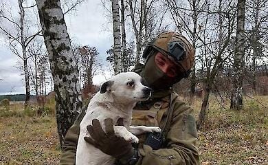 Krieger an der Front werden von einem pelzigen Freund gerettet