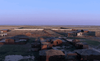 Tiere starben in der vor&uuml;bergehend besetzten Region Kherson aufgrund des Sturms 