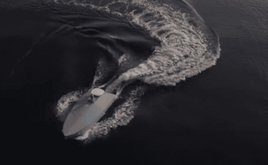 Eine Geschichte &uuml;ber eine geheime SBU-Fabrik und Marinedrohnen wurde ver&ouml;ffentlicht