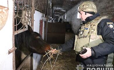 Die Polizei hat Pferde von einem verlassenen Bauernhof in der Region Charkiw in Gewahrsam genommen