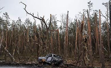 Die OBA von Luhansk wird berichten, dass die Russen mindestens ein Drittel des Waldfonds der Region zerst&ouml;rt haben