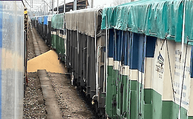 Polen verstreut erneut ukrainische Agrarprodukte am Bahnhof von Dorogusk