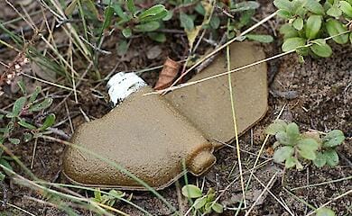 Ein Fischer wurde auf einer Mine im Gebiet Charkiw in die Luft gesprengt