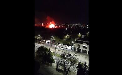 Zoo auf der Krim niedergebrannt, Tiere get&ouml;tet