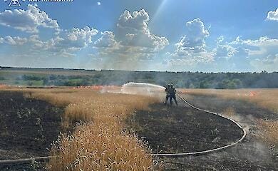 Russische Truppen beschießen absichtlich ein Brotfeld in der Region Charkiw