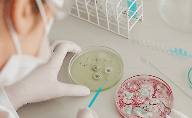 Wissenschaftler sagen, wo sich das Epizentrum der Ausbreitung des Coronavirus befand 