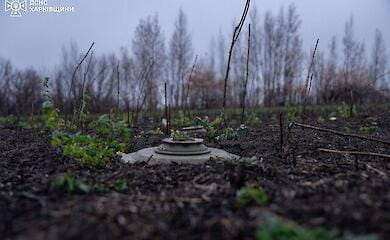 Polen stellt der Ukraine &uuml;ber 600.000 Dollar f&uuml;r die Minenr&auml;umung in der Ukraine zur Verf&uuml;gung 