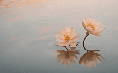 Was bei Nahtoderfahrungen im Gehirn passiert: Wissenschaftler haben Muster gefunden