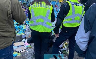 In Kiew hat eine 33-j&auml;hrige Frau die Allee der Helden gesch&auml;ndet: Video und Fotos vom Ort des Geschehens