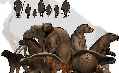 Arch&auml;ologen: Urmenschen a&szlig;en Riesenfaultiere und G&uuml;rteltiere - und das k&ouml;nnte zu deren Aussterben gef&uuml;hrt haben