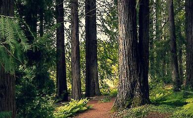 Extremistische Enklaven auf dem Land: eine neue Form der Radikalisierung