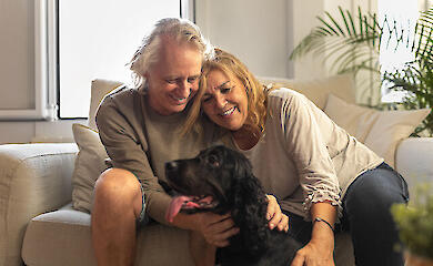 20 Minuten mit einem Therapiehund verbessern die Stimmung &auml;lterer Patienten deutlich