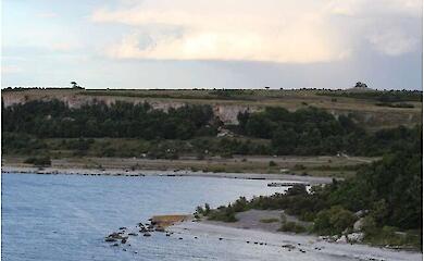 Auf einer winzigen Insel in der Ostsee wurden W&ouml;lfe gefunden, die m&ouml;glicherweise von Menschen dorthin gebracht wurden. Was hat das zu bedeuten?