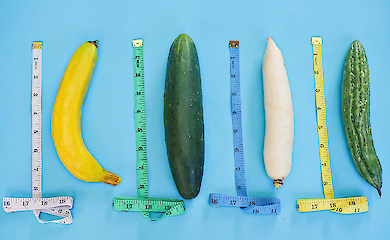 Warum Enten Korkenzieher haben, Katzen Stacheln und Menschen einen "einfachen" Penis: Evolutionist erklärt