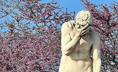 Reue w&auml;hrend des Prozesses: Wie wird entschieden, ob der T&auml;ter wirklich Reue zeigt?