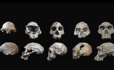 Wissenschaftler: Zwei Arten von Menschen sind gleichzeitig in Afrika entstanden