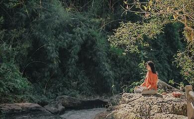 Die effektivsten Wege zur Verbesserung des Wohlbefindens wurden benannt