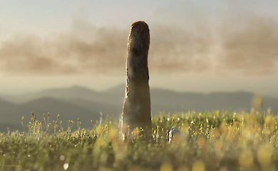 Wissenschaftler haben Spuren einer unbekannten ausgestorbenen Lebensform auf der Erde entdeckt