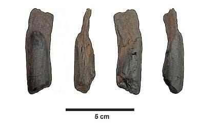 Archäologen haben in Griechenland die ältesten Holzinstrumente der Welt entdeckt