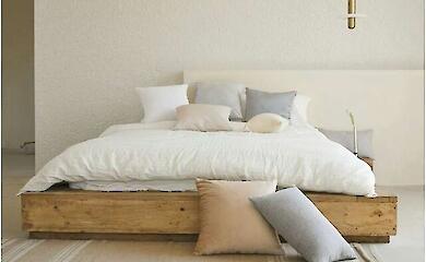 Kissen k&ouml;nnen den Abfluss von Fl&uuml;ssigkeit aus dem Auge behindern: neue Erkenntnisse &uuml;ber Glaukome