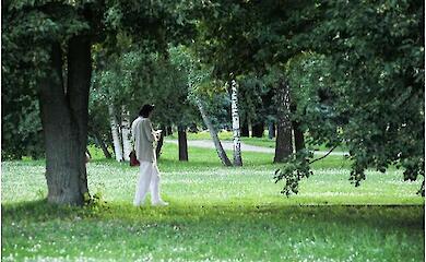 Warum Bewegung in der Natur die geistige Gesundheit st&auml;rkt