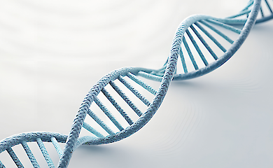 Warum derselbe Tagesablauf nicht f&uuml;r jeden funktioniert - eine Erkl&auml;rung der Wissenschaftler