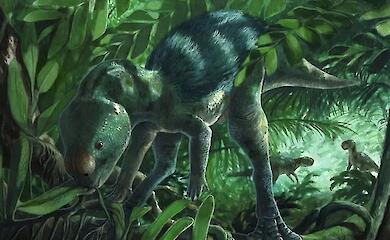 In Spanien wurde ein winziger Dinosaurier entdeckt, der eine L&uuml;cke in der Evolution der pflanzenfressenden Eidechsen schlie&szlig;t