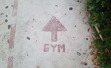 Lehrer: zwei Stunden Sport pro Woche sind nicht genug - es sollte jeden Tag Bewegung geben