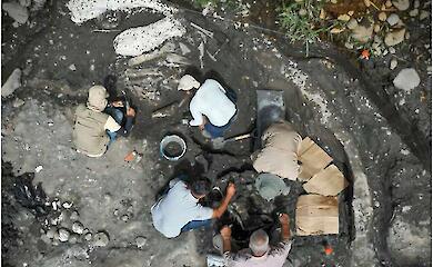 Größter Fund seit Jahrzehnten: Knochen eines Mastodons und eines Riesenfaultiers in Costa Rica ausgegraben