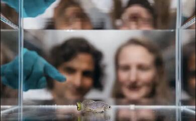 Es stellt sich heraus, dass das Verhalten die Lebenserwartung vorhersagen kann