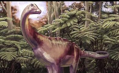 Wissenschaftler haben den ersten in der Antarktis gefundenen Dinosaurier beschrieben