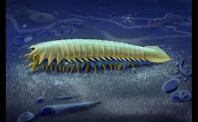 Ein 518 Millionen Jahre altes Fossil hat Aufschluss &uuml;ber den Ursprung der Spinnenz&auml;hne gegeben