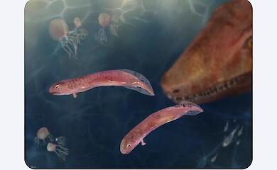 309 Millionen Jahre alte Fossilien haben das „Frosch“-Modell der Evolution in Frage gestellt