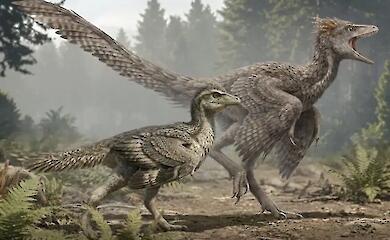 Ein fossiler Vogel aus China hat gezeigt, wie der Schwanz der Dinosaurier verschwand