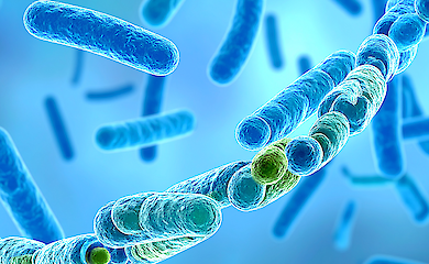 In einem australischen Gewässer wurde ein Gen entdeckt, das Resistenz gegen das „Antibiotikum der letzten Hoffnung“ verleiht