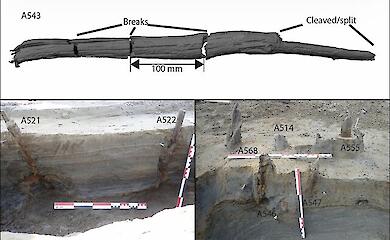 In Norwegen wurden 7.000 Jahre alte Fischfallen aus Holz gefunden