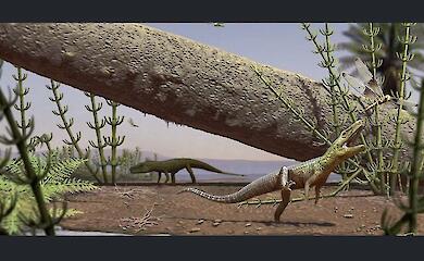 In Brasilien wurde ein Reptil entdeckt, das vor 240 Millionen Jahren lebte